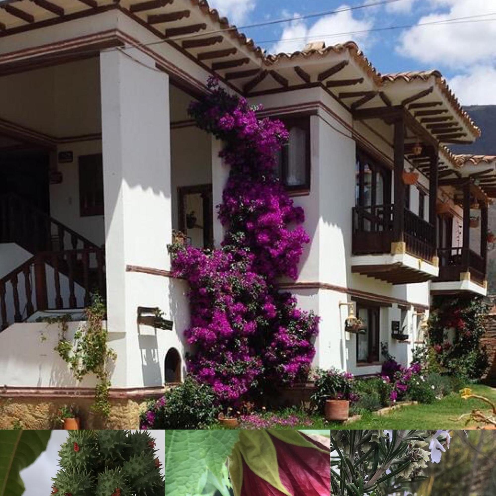 Hotel Santa Viviana Villa De Leyva Ngoại thất bức ảnh
